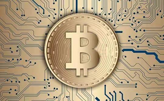 18家SOL财库公司都是什么来头？